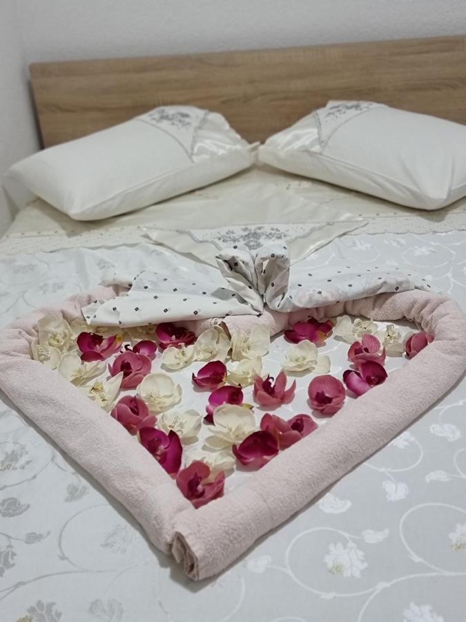 Hostel Bellavista Koper Dış mekan fotoğraf